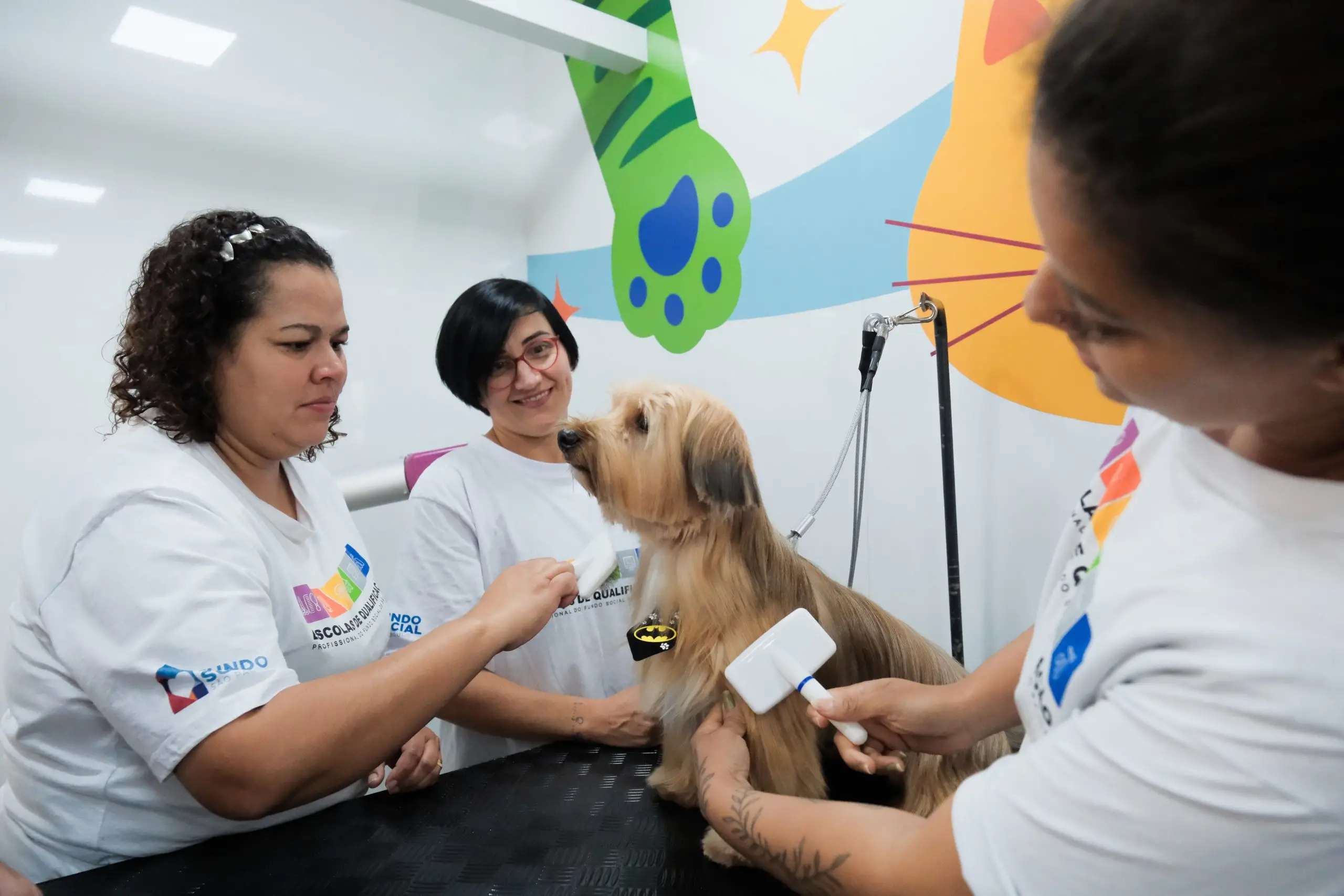 Curso gratuito de banho e tosa para pets será realizado em carreta adaptada em Jacareí.