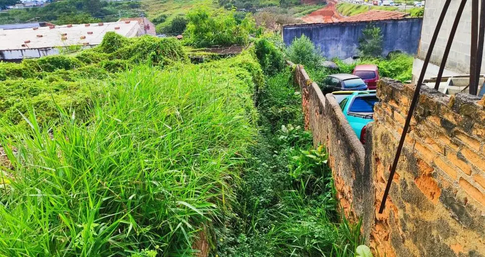 Terreno com mato alto em São José dos Campos é limpo após decisão judicial e uso de oito caminhões
