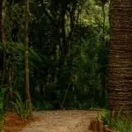 Parque de dinossauros em Campos do Jordão abre 100 vagas de emprego