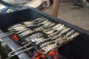 Festival da Sardinha: Gastronomia caiçara, shows e tradição em Ilhabela