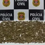Polícia Civil prende traficante e apreende 1 kg de maconha e ecstasy em operação contra o tráfico no Residencial 31 de Março