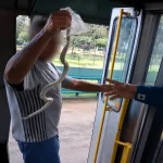 Cobra branca é encontrada dentro de ônibus da linha 202 em São José dos Campos e assusta passageiros
