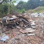 Descarte de animais mortos preocupa moradores em estrada próxima à Rodovia dos Tamoios