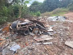 Descarte de animais mortos preocupa moradores em estrada próxima à Rodovia dos Tamoios
