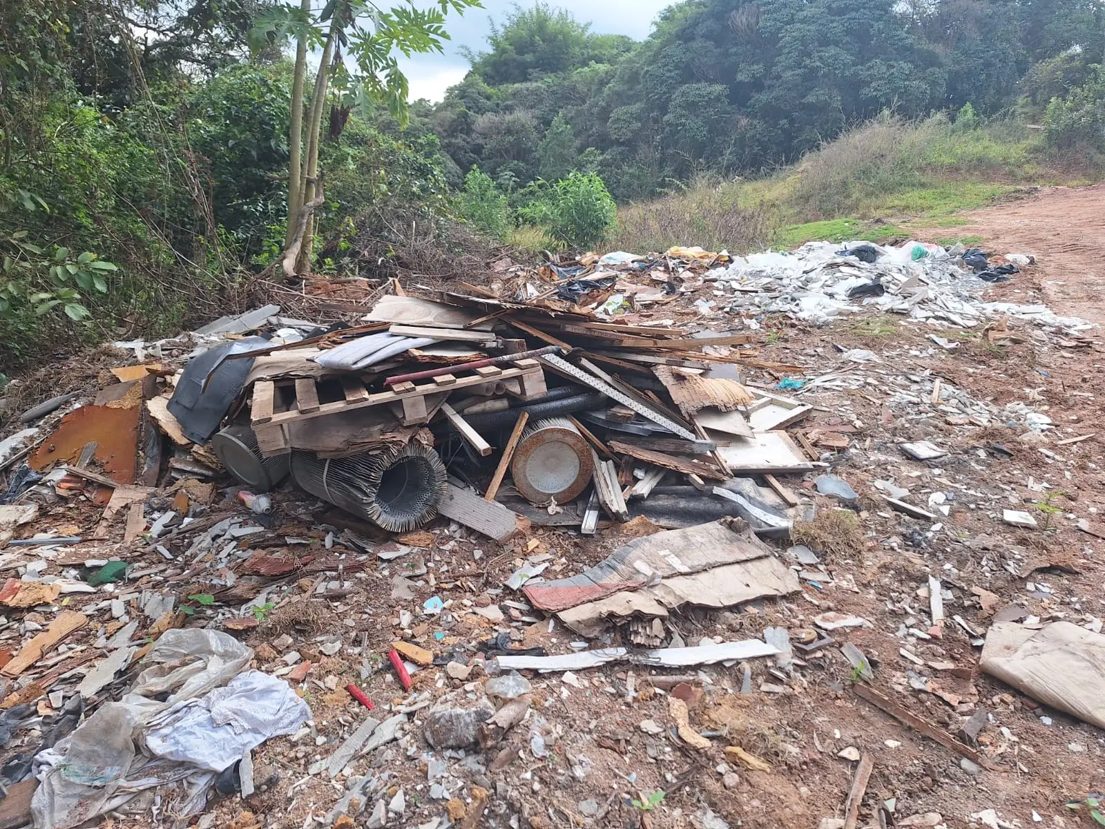 Descarte de animais mortos preocupa moradores em estrada próxima à Rodovia dos Tamoios