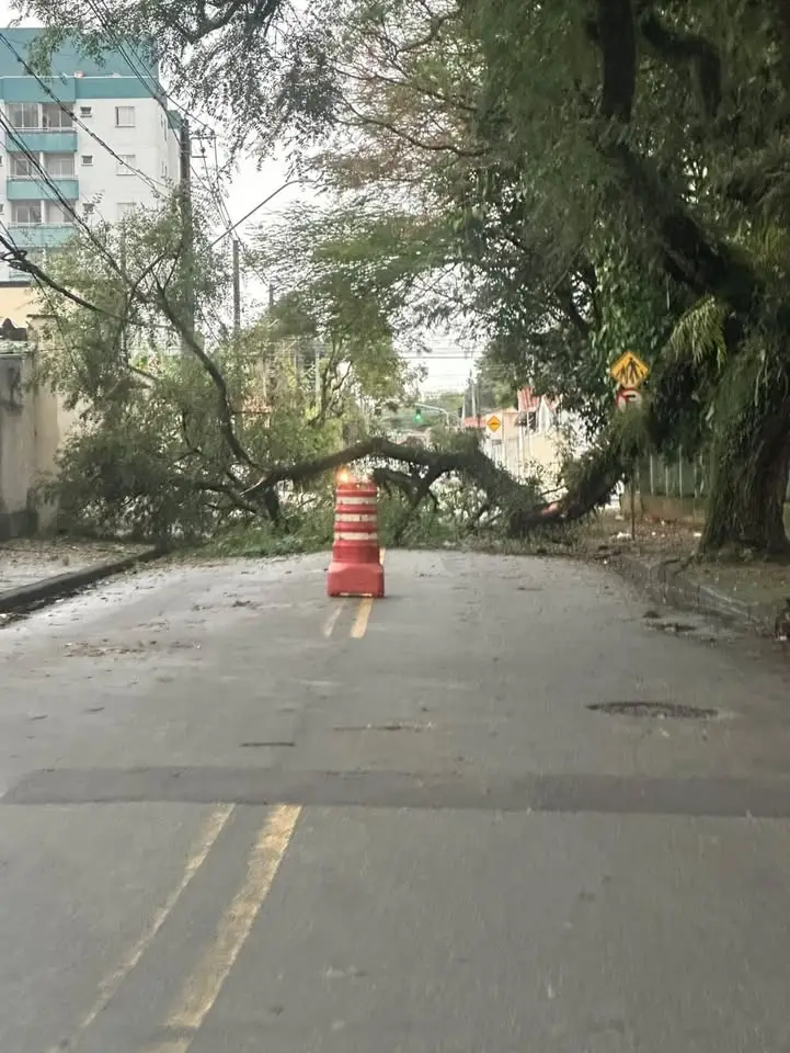 Tronco de árvore cai e bloqueia rua no Jardim Paraíso, na região sul de São José dos Campos