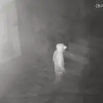 Furto em igreja de Lorena causa prejuízo de R$ 6,1 mil