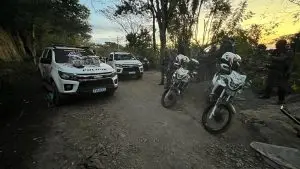 Polícia Militar apreendeu mais de 23 quilos de maconha e 260 gramas de haxixe
