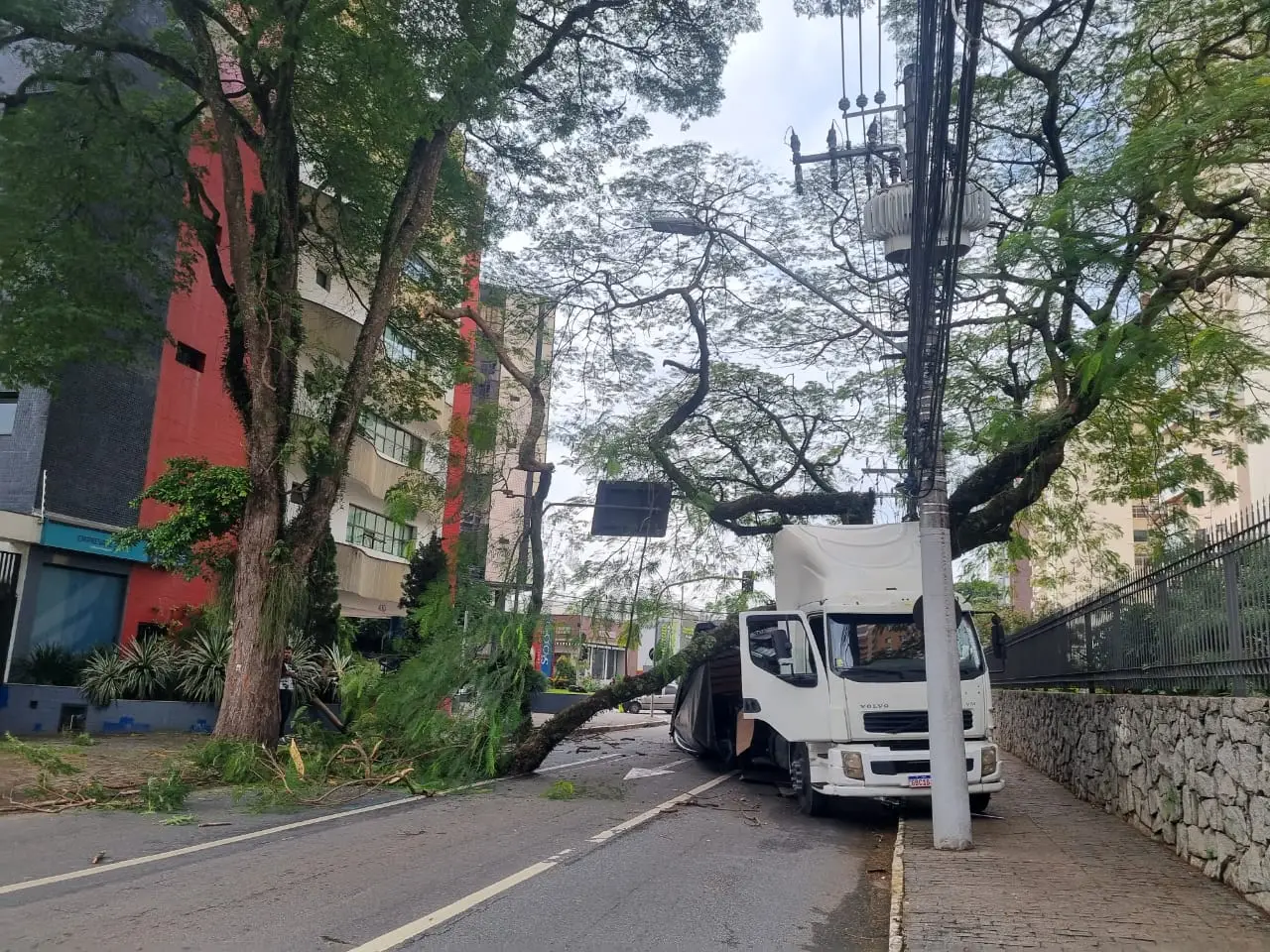 Caminhão atinge árvore e interdita totalmente a Avenida São João, na região do Esplanada, em São José dos Campos