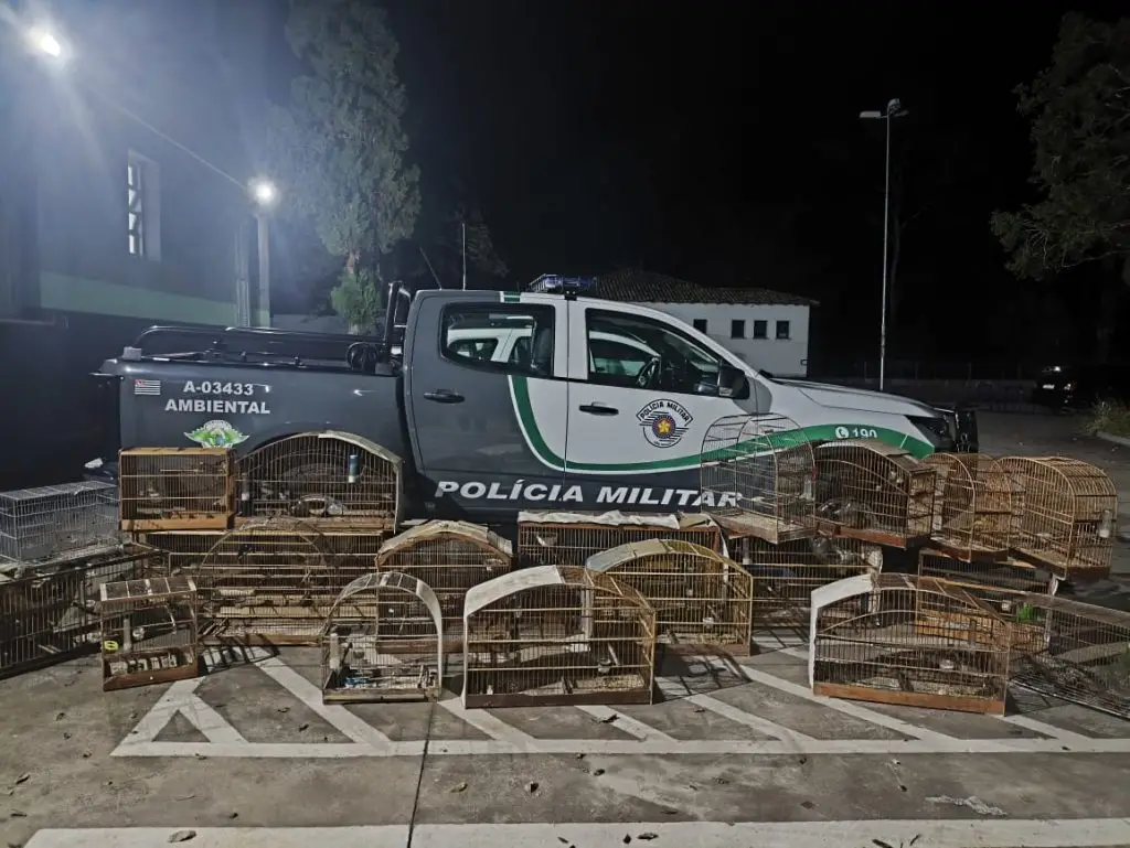 Polícia Ambiental resgata 29 aves silvestres mantidas ilegalmente em cativeiro e aplica R$ 30 mil em multas em Santa Branca
