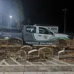 Polícia Ambiental resgata 29 aves silvestres mantidas ilegalmente em cativeiro e aplica R$ 30 mil em multas em Santa Branca