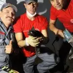 Filhote de gato é resgatado pelos Bombeiros após ficar preso em tubulação no centro de Ubatuba