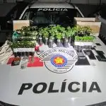 Traficante é presa com 55 mudas de maconha e mais de 650 gramas da droga na zona norte de São José dos Campos