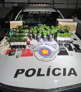 Traficante é presa com 55 mudas de maconha e mais de 650 gramas da droga na zona norte de São José dos Campos