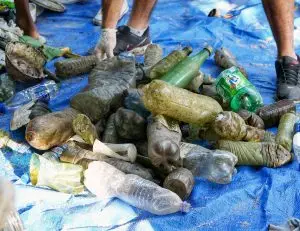 Preservação dos manguezais São Sebastião retira 2,5 toneladas