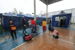 Prefeitura de Jacareí realiza novo mutirão de castração