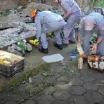 Muro desaba sobre idoso e deixa vítima em estado grave em Caraguatatuba
