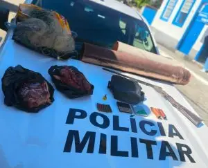 Polícia Ambiental em Arapeí apreende arma e carne de paca