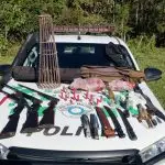 Polícia Ambiental em Paraibuna apreende armas e carne silvestre