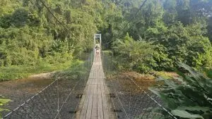 Ponte de acesso a aldeia Rio Bonito