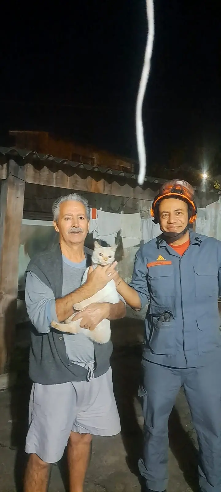img-responsive Gata é resgatada pelos Bombeiros