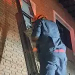 Gata desaparecida em Caraguatatuba é resgatada pelos Bombeiros