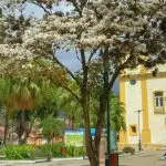 Joia da RM Vale do Paraíba encanta o mundo: São José do Barreiro disputa título de uma das Melhores Vilas Turísticas do Planeta