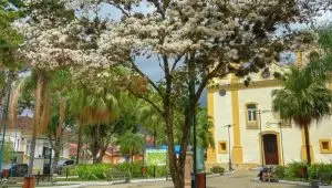 Joia da RM Vale do Paraíba encanta o mundo: São José do Barreiro disputa título de uma das Melhores Vilas Turísticas do Planeta