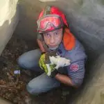 Bombeiros Anjos: filhote de cão desaparecido há três dias é resgatado de bueiro e emociona moradores em Caraguatatuba