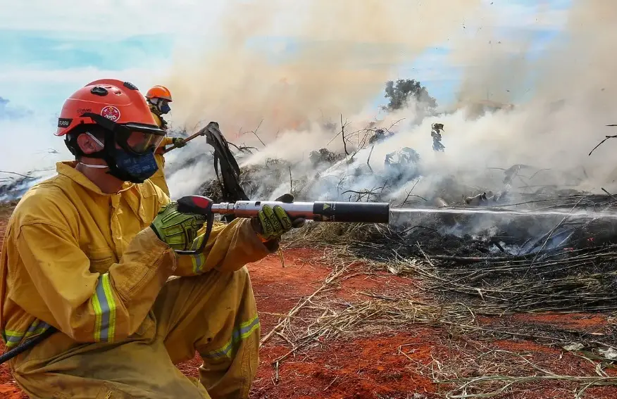 Alerta máximo: Defesa Civil emite emergência para risco de incêndios no interior de SP durante o feriado