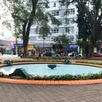 Praça do Sapo recebe revitalização no Centro de São José