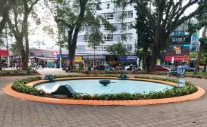 Praça do Sapo recebe revitalização no Centro de São José