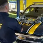 PRF encontra 21 kg de haxixe escondidos em portas de carro na Dutra; motorista é preso