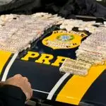 PRF prende mulher com 1.510 ampolas de medicamentos proibidos na Via Dutra, em Caçapava