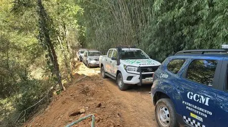 Extração ilegal de palmito resulta em multa de R$ 18,9 mil em Caçapava