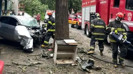 Acidente fatal na SP 50 Condutor perde a vida em colisão com árvore