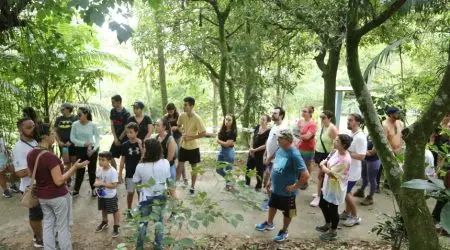 Neste final de semana tem 2ª arbotrilha no parque Alberto Simões