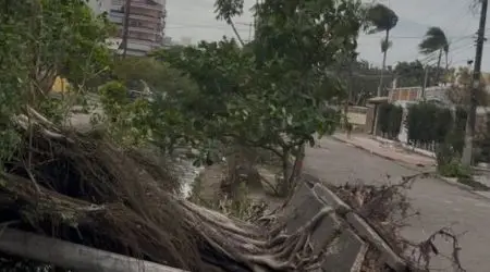 Caraguatatuba mobiliza grande mutirão de recuperação após ventos de 85 km/h