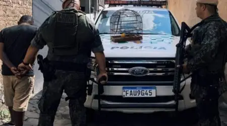 Denúncia de ave em cativeiro leva à prisão de procurado por duplo homicídio em Potim
