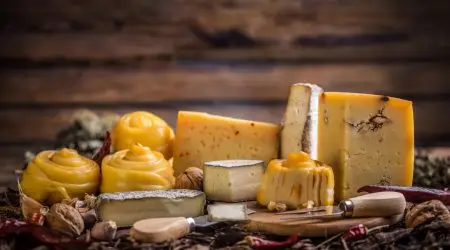 Produtores artesanais de Cunha ganham destaque na Rota do Queijo