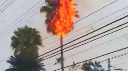 Palmeira pega fogo após ser atingido por raio na avenida Anchieta, em São José dos Campos, durante forte chuva com relâmpagos.