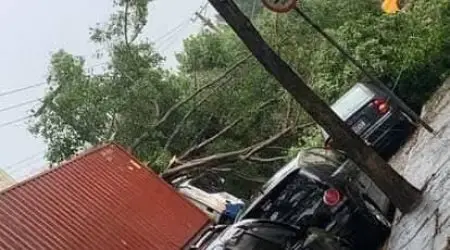 Galho cai sobre carreta e interdita rua na região sul de São José dos Campos