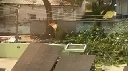 Galho cede após rajadas de vento e interdita rua movimentada no Parque Industrial