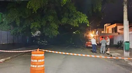 Galho de árvore cai sobre carros e bloqueia rua na região do Jardim Esplanada