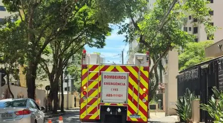 Gato é resgatado pelos bombeiros após ficar sete dias preso no duto do exaustor de churrasqueira em prédio do Jardim Aquarius (2)