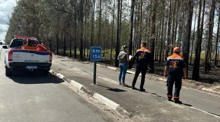 Após incêndio, Defesa Civil de Pinda realiza vistoria preventiva em eucaliptos da SP-62