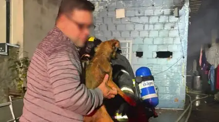 Incêndio atinge casa e Bombeiros salvam oito cachorros!