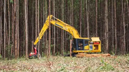 Suzano abre vagas em Taubaté e Caçapava