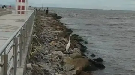 Novo e imponente ponto turístico, Molhe do Rio Juqueriquerê é interditado por risco estrutural!