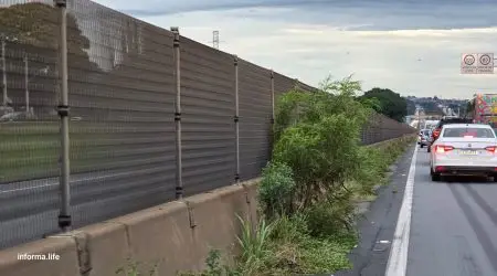 Via Dutra passa por intensificação de roçada após alertas de motoristas